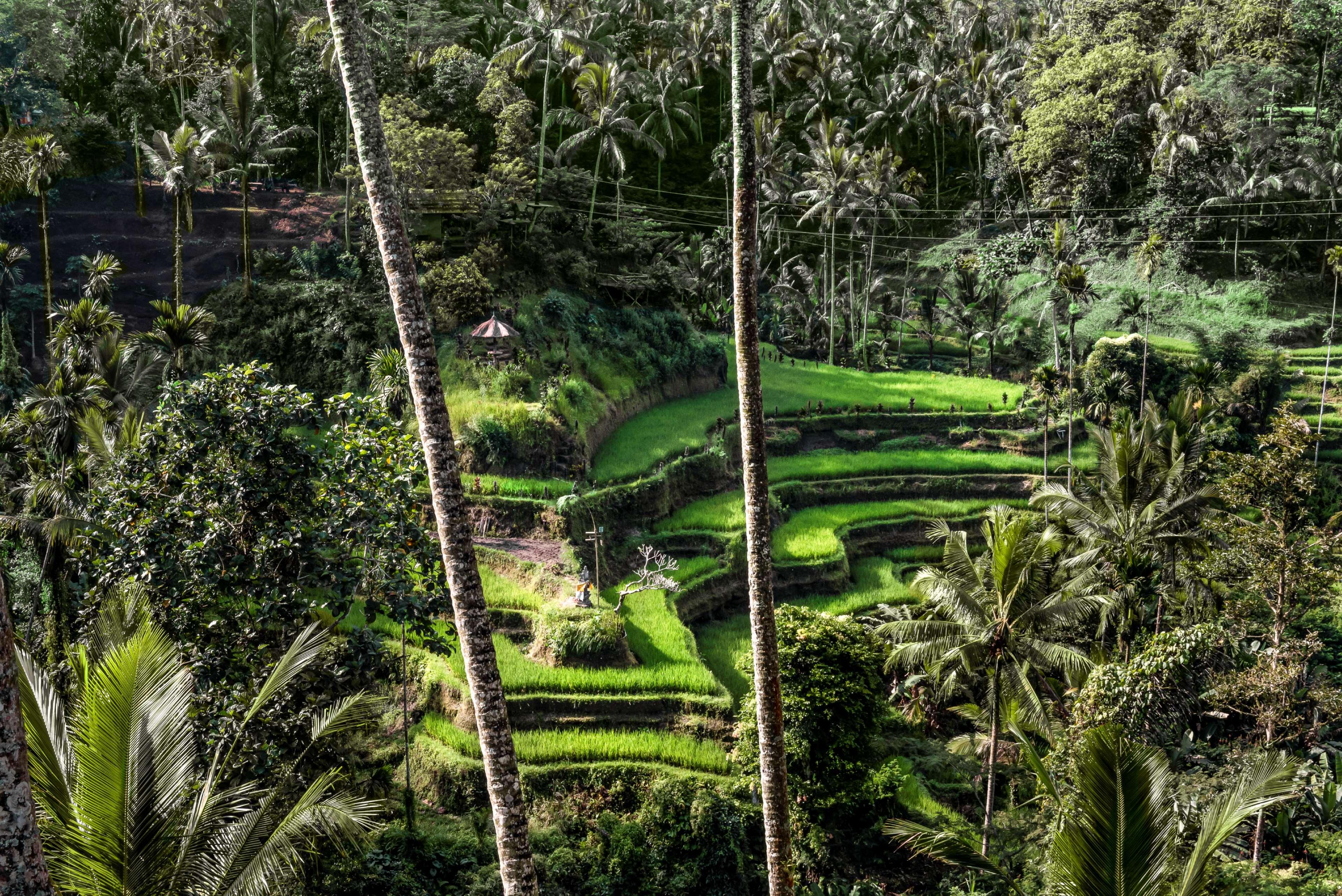 Amandari Hotel Ubud  Luaran gambar